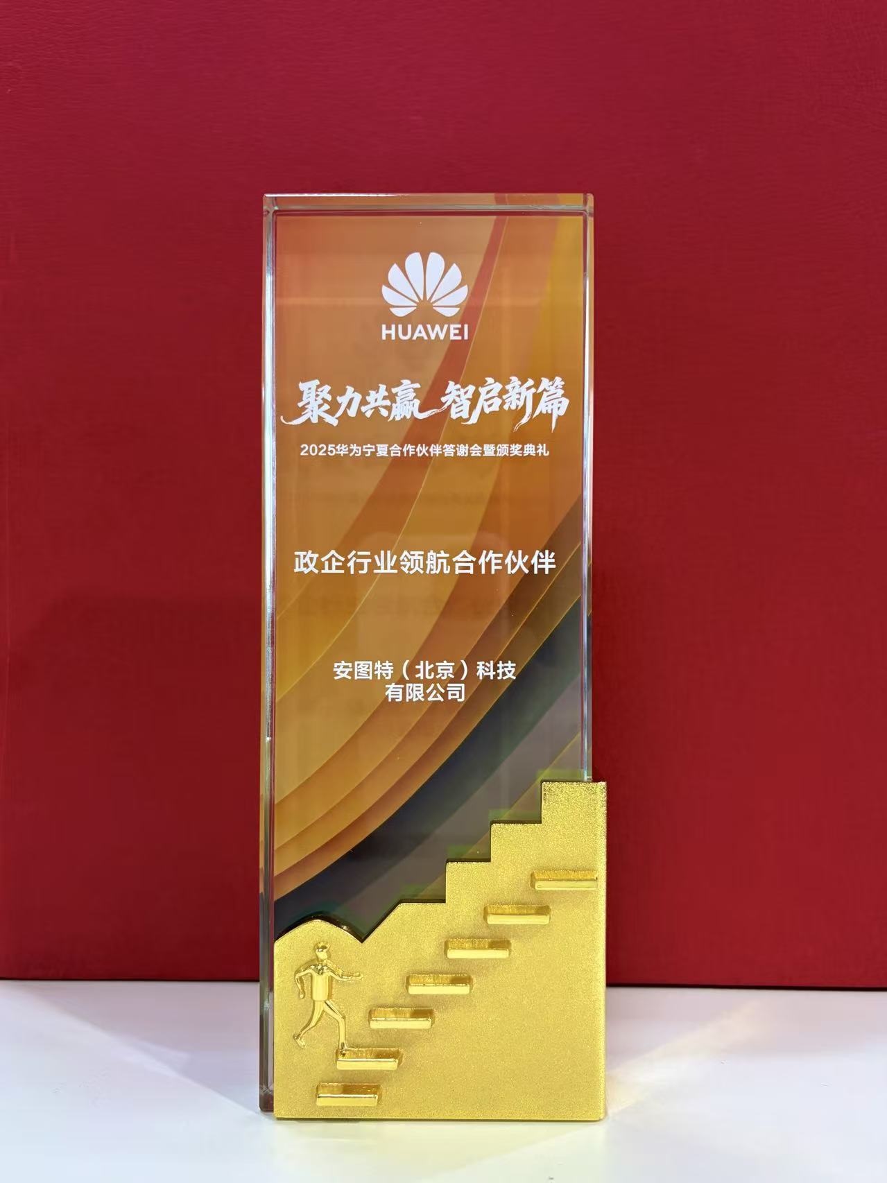 奖杯政企行业领航合作伙伴.jpg